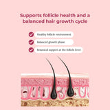 Creator Pack - Folly Hair Health Gummies