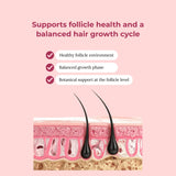 Creator Pack - Folly Hair Health Gummies