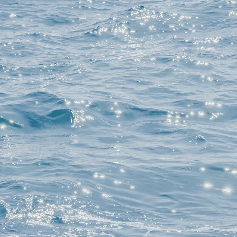 Marine Collagen